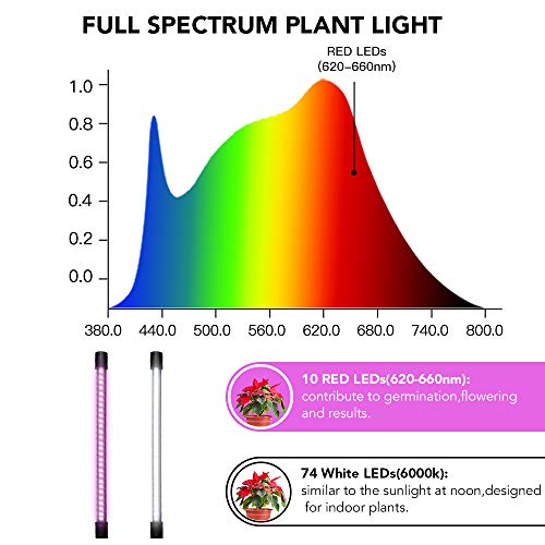 GooingTop LED Grow Light,6000K Full Spectrum Clip Plant Growing Lamp with White Red LEDs for Indoor Plants,5-Level Dimmable,Auto On Off Timing 4 8 12Hrs - size: 49Watts