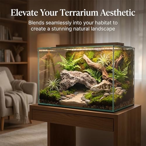 Anxingo Reptile Rock Reptile Cave Hideout for Snakes/Geckos/Lizards/Turtles and Other Amphibians, with Dinosaur Skull (Medium) - size: M