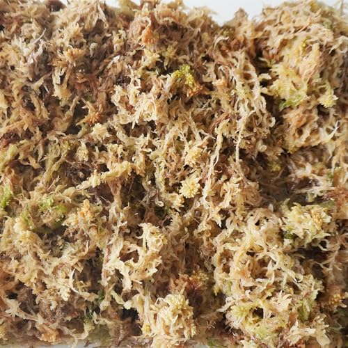 5.5oz Sphagnum Moss for Plants, Premium Compressed Sphagnum Moss for Orchids - size: 5.5 ounce