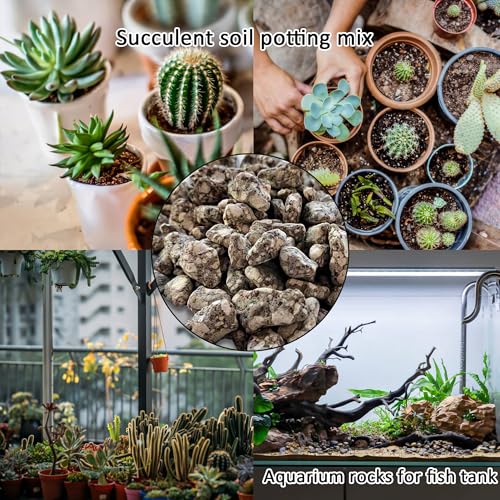 Succulent Cactus Soil Potting Mix:Indoor Bonsai Soil for Plants,Orchid Potting Mix,Aquarium Rocks for Fish Tank,Gardening DIY Gravel for Plants,Drainage and Breathable,1.1 lbs/0.5kg (1.1 lbs) - style: 1.1 lbs