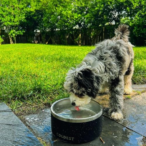 Coldest Dog Bowl - Anti Rust Metal, Non Slip, 3 Layers Insulated Stainless Steel Dog Bowls - Spill Proof & Heavy Duty - Water Bowl for Dogs, Cats & Pets, Dish Washer Safe (64 oz, Sahara Peach) - color: Sahara Peach, size: 64 oz