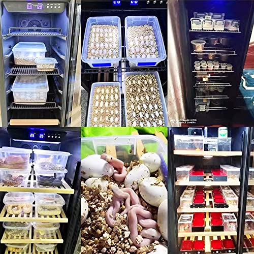 Large Automatic Incubator Incubator Cooling and Heating 41℉ to 100℉ 110V, ReptileIncubator for Hatching Eggs, Reptile Egg Incubator W/Precise Temperature Control LED (155L) - size: 155L