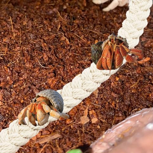 kathson 2 PCS 26 Inches Hermit Crab Climbing Toys,Reptile Vines Toy Hermit Crab Rope Ladder Bendable Hermit Crab Supplies Tank Terrarium Accessories for Hermit Crabs Lizards Leopard Geckos - color: 【Color:White】
