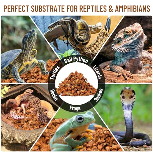 Riare 10LB Coconut Chip Substrate for Reptiles, 72 Quart Coconut Fiber Substrate Coco Chips Substrate Coconut Husk Bedding for Snakes, Tortoises, Ball Python, Bearded Dragon, Geckos, Lizards, Frogs - color: 1 Pack-10LB
