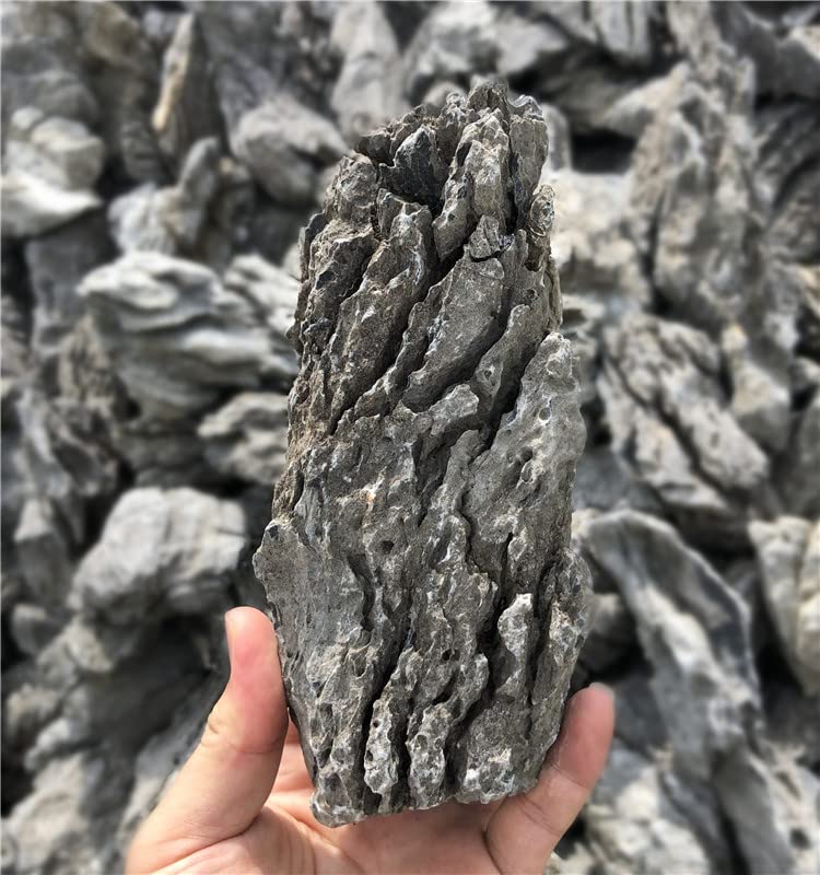 KINGRUI Aquarium Rocks Seiryu Rock Stone 44lb Dragon Stone for Aquarium Landscaping Models Fish Tank Decoration Reptile and Amphibian enclosures 3 to 9 inch - size: 44lb(3-9inch)