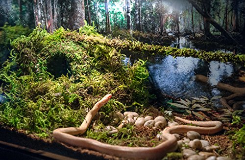 Galápagos (05348) Mossy Cave Hide, 6", Green Sphagnum - size: 6"