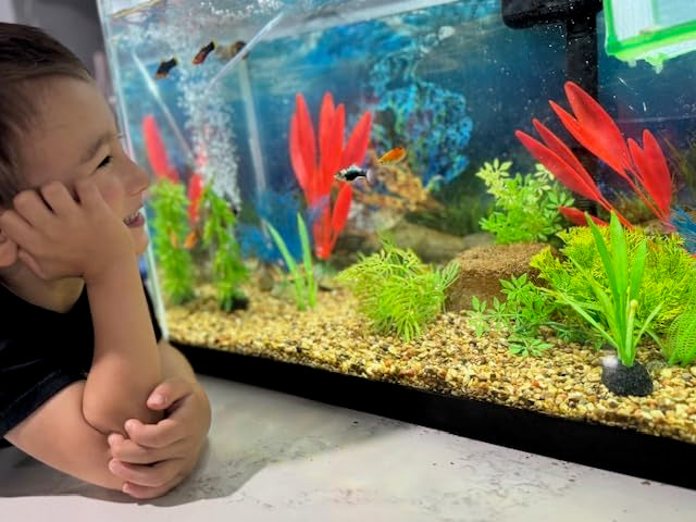 EcoBio-Block Aquarium Water Clarifier (Medium, 15–40 gal) | Volcanic Rock — Lasts Up to 2 Years — No Weekly Additives — Long-Term Water Balance — Safe for Fish, Shrimp, Frogs & Turtles - size: 1 Pack, style: Medium