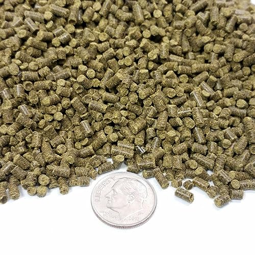 Spirulina Sinking Pellets for Shrimp, Snails, Crabs, Catfish, Plecos for All Tropical Fish 1/16" x 3/8" Pellets by Zeigler...12oz Small Jar - size: 12 Ounce (Pack of 1)