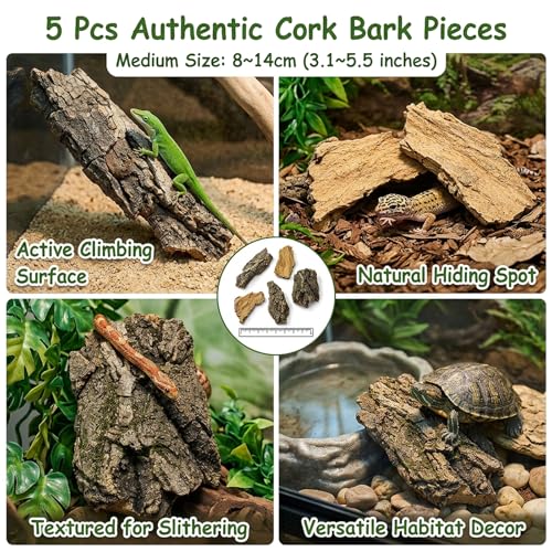 5PCS Cork Bark for Reptiles, Five Pieces Habitat Decor, Reptile Enclosure Bark Pieces, Ideal for Climbing and Hiding