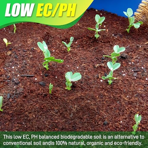 Coco Coir Brick for Plants-6 Pack Premium Coconut Bricks, 100% Organic Peat Moss, Fiber Coconut Husk for Planting, Gardening, Potting Soil Substrate - size: 6pcs