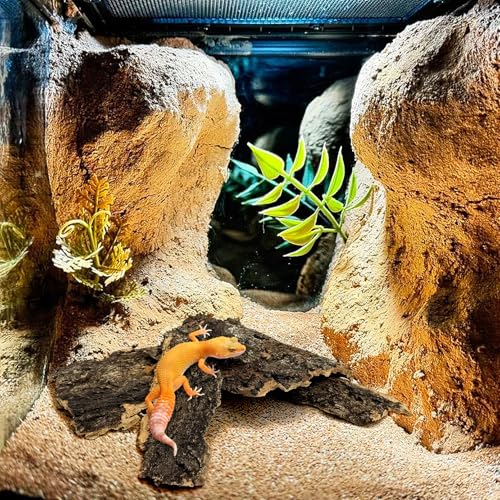 VCEPJH 2 Pack Reptile Wood Branches, Snake Climbing Branch and Cork Bark for Reptiles, 4 Pcs Natural Cork Flats for Snakes Spiders Bearded Dragons