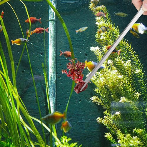 Fri4Free 2PCS Long Aquarium Tweezers - 10.6" Straight and Curved Tweezers, Stainless Steel Reptile Feeding tongs, Terrarium Aquascape Tools Feeder for Lizards, Bearded Dragon Snake Tank Accessories