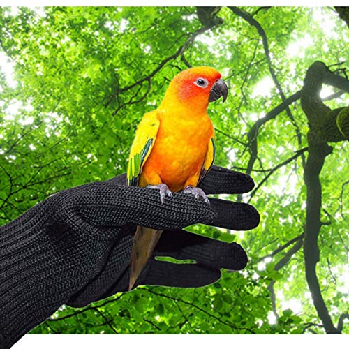 alfyng Bird Training Anti-Bite Gloves, Small Animal Handling Gloves, Chewing Protective Gloves for Small Animal Pet Squirrels Hamster Parrotlets Cockatiels Finch Macaw (1 Pair) - color: Black