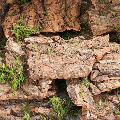SHINEOFI 14pcs Cork Bark Reptile Decor Natural Tree Bark Climbing Platforms for Gecko Lizard Snake Spiders Tank Terrariums Turtle Tanks Decor,Random Shape
