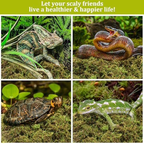 Legigo 14 OZ Sphagnum Moss for Reptile- 16 QT Natural Reptile Moss Terrarium Moss Substrate, Snake Tank Moss Peat Moss Reptile Bedding for Snake, Gecko, Ball Python, Frog and Orchids Plants - size: 14 OZ