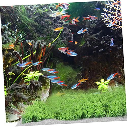 Totority 10pcs Aquarium Decorative Moss Mesh Net Fish Tank Plant Moss Carpet Fixed Net