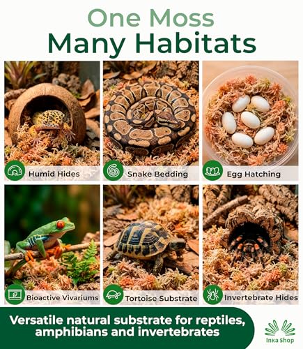 Sphagnum Moss for Reptiles Dried Long Fiber Natural Peruvian Bedding Terrarium Substrate Humid Hide Leopard Gecko Snake Frog Tortoise Turtle Tarantula Amphibian Vivarium Bioactive Enclosure 3.5 oz