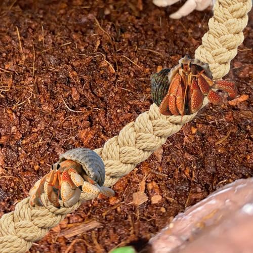 kathson 2 PCS 26 Inches Hermit Crab Climbing Toys,Reptile Vines Toy Hermit Crab Rope Ladder Bendable Hermit Crab Supplies Tank Terrarium Accessories for Hermit Crabs Lizards Leopard Geckos - color: 【Color:Khaki】