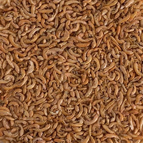 Tetra ReptoMin Select-A-Food 1.55 Ounces, For Aquatic Turtles, Newts And Frogs, Variety Pack - size: 1.55 Ounce (Pack of 1)