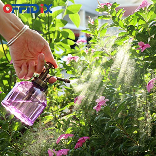 OFFIDIX Glass Watering Spray Bottle,Plant Mister Watering can Indoor with Bronze Plastic Top Pump, Glass Small Watering Can for Garden, Plants, Cleaning (Purple) - color: G-purple
