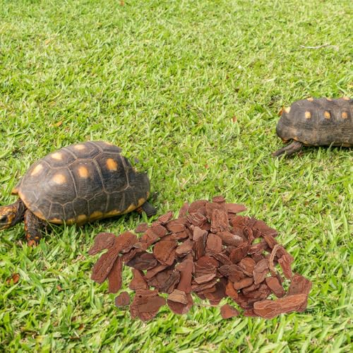 Reptile Terrarium Bark Chips Bedding Natural Pine Bark Pieces 3-5cm for Turtle Lizard Habitat Decor Reptile Supply Terrarium Substrate