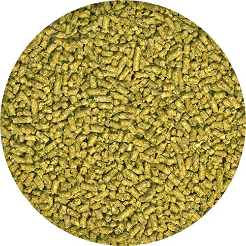 ZooMed Bearded Dragon Juvenile Pellet 10 oz.
