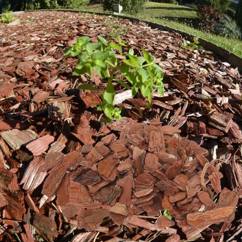 Reptile Bark Chips Bedding 3-5cm Natural Tree Bark Chips for Terrarium Decor and Turtle Habitat Substrate Pet Supplies