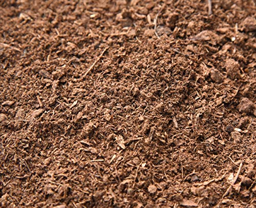 Organic Sphagnum Peat Moss by Perfect Plants - 4 Dry Quarts Absorbs Essential Nutrients When Added to Soil and Enriches Plant Roots - Indoor and Outdoor Use - size: 4qts.