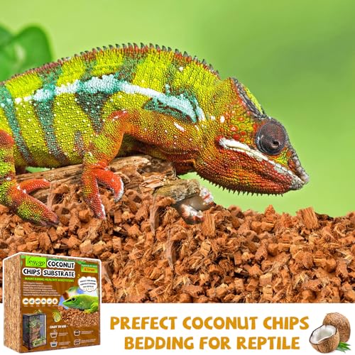 Legigo 10LBS Coconut Chip Substrate for Reptiles, 72QT Natural Coco Husk Chip Reptiles Bedding, Compressed Coconut Chip Substrate for Snake, Tortoise, Ball Python, Gecko, Lizard Terrarium Tanks - color: 1 Pack-10LBS