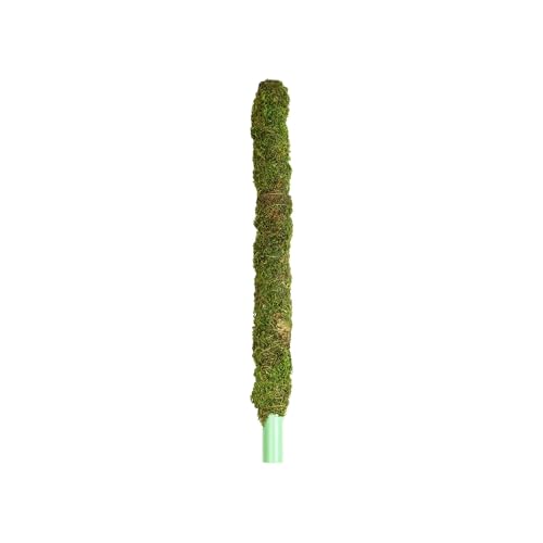 Galapagos (22210) Mossy Perch for Aquarium, 24", Fresh Green