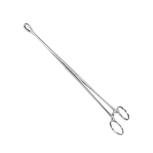 GSHLLO 25cm Long Snake Feeding Tongs Reptile Feeding Clip Stainless Steel Feeding Tongs Lizard Food Tongs Insect Frog Feeder Tongs Pet Feeding Tools with Round Head