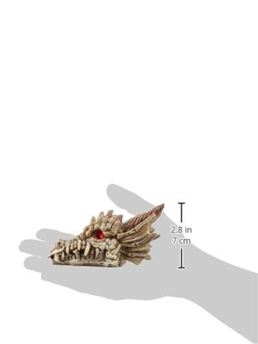 Penn-Plax Deco-Replicas Dragon Skull Gazer Aquarium Decoration – Safe for Freshwater and Saltwater Fish Tanks – Small - size: Small