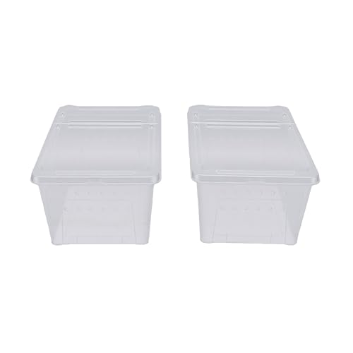 Reptile Feeding Box, Transparent Portable Plastic 2PCS Breeding Transport Box for Lizard Bearded Dragon Spider (L)