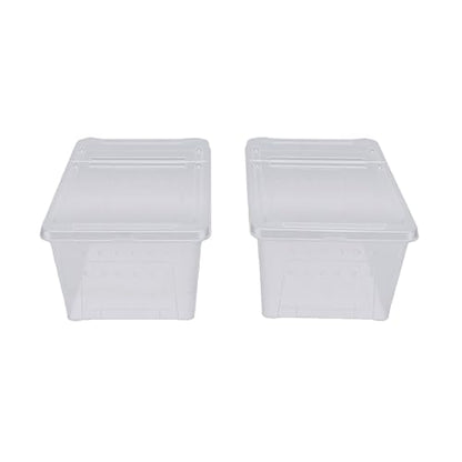 Reptile Feeding Box, Transparent Portable Plastic 2PCS Breeding Transport Box for Lizard Bearded Dragon Spider (L)