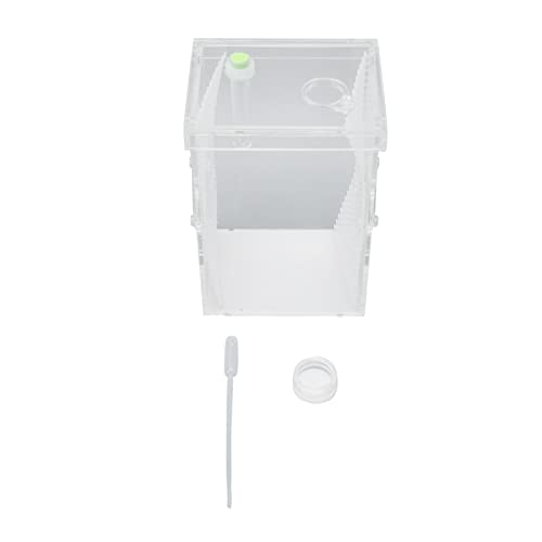 Reptile Enclosure Tank, Mini Acrylic High Transparency Moisturizing Reptile Breeding Box, Acrylic Reptile Cage Terrarium Tank for Tarantula Scorpion Sling Isopods(L)