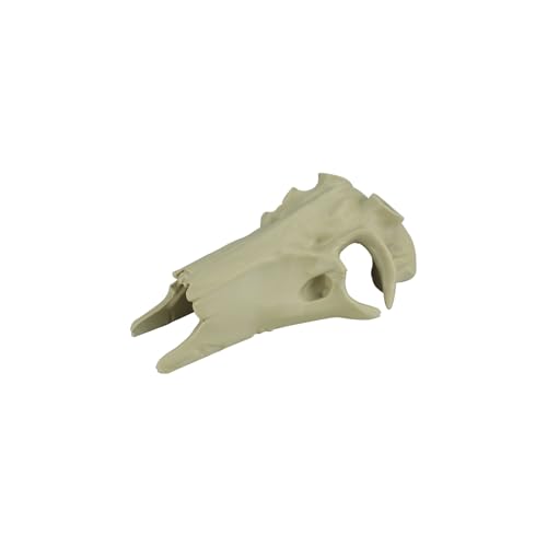 WishLotus Skull Reptile Hide Decor, 3D Printing Giraffe Half Head Mudflat Hideout for Little Tortoise and Reptiles (Giraffe Half Head) - color: Giraffe Half Head