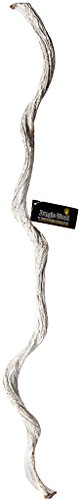 Galapagos (05315) Jungle Wood, White, 5 Ft. - color: White, size: 5 ft