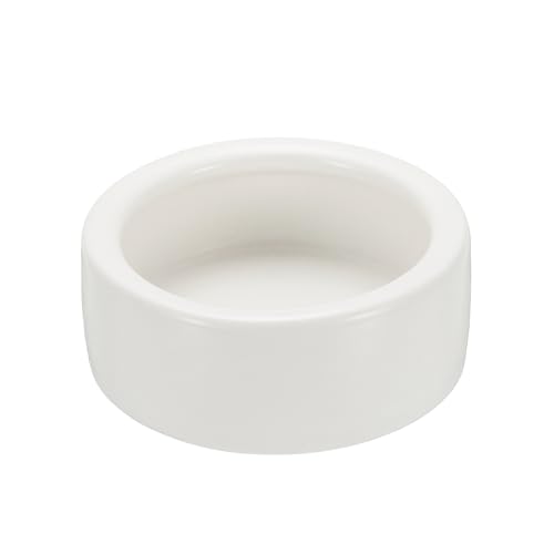 Reptile Food Bowl, Worm Water Dish Ceramic Pet Bowl Food Dish Anti Escape Feeder Small (2 in, White), Intended for Gecko/Scaled Pet/Amphibians/Spiders/Small Mammals - color: White, size: 2 In