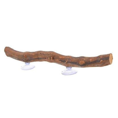 Reptile Climbing Branch Suction Cups Natural Grapevine Wood Lizard Toy for Terrarium Decor for Bearded Dragons and Geckos 12-inch Length