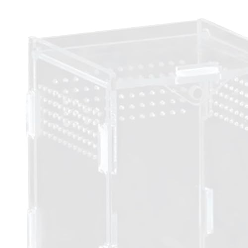 Reptile Breeding Box Terrarium Clear Animal Habitat Cage with Ventilation Holes for Geckos Frogs Hermit Crabs- 8x7x10cm - size: 8x7x10cm