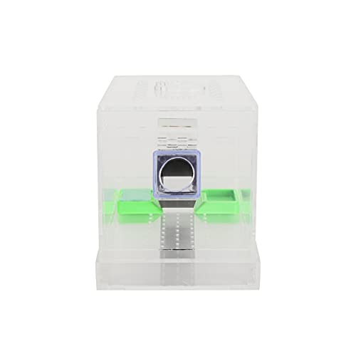 Acrylic Cricket Feed Box with Observation Window for Reptile Terrarium Insect Care Kit, Non-Toxic Material for Easy Cleaning, Tank Box for - size: S