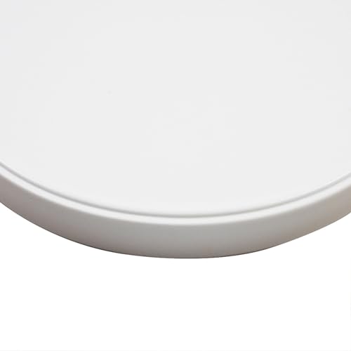OMEM Reptile Food Bowl Water Dish,Feeding Dish, Birds Bowl (L, White) - color: White, size: L