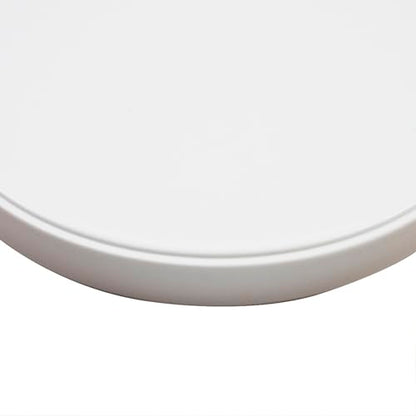 OMEM Reptile Food Bowl Water Dish,Feeding Dish, Birds Bowl (L, White) - color: White, size: L