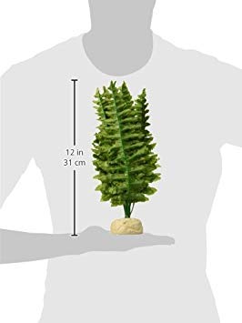 Exo Terra,Reptiles, Amphibians Boston Fern Terrarium Plant, Medium