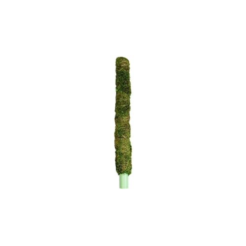Natural Pack Galapagos 50722205: Mossy Perch Terrarium Ornament, Green 18In