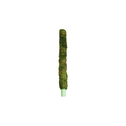 Natural Pack Galapagos 50722205: Mossy Perch Terrarium Ornament, Green 18In