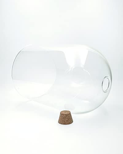 Handblown 10" Glass Terrarium with Opening for Air Flow & Cork Stopper Cloche Style Glass Dome Vivarium Display Case (Large) - size: Large