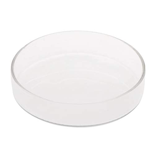 Shrimp Feeder Glass Feeding Dish Aquarium Fish For Tank Reptiles Round Clear Food Bowl 6cm-9.8cm Transparent Modern Floating Design Fish Feeder Feeding Dish