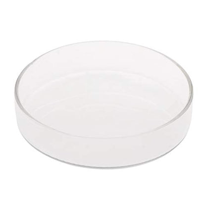 Shrimp Feeder Glass Feeding Dish Aquarium Fish For Tank Reptiles Round Clear Food Bowl 6cm-9.8cm Transparent Modern Floating Design Fish Feeder Feeding Dish