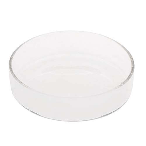 Shrimp Feeder Glass Feeding Dish Aquarium Fish for Tank Reptiles Round Clear Food Bowl 3.9" 3.5" 3.2" 3.0" 2.6" 2.4" Tra Aquarium Heater Light Thermometers Gravel Sand Decorations